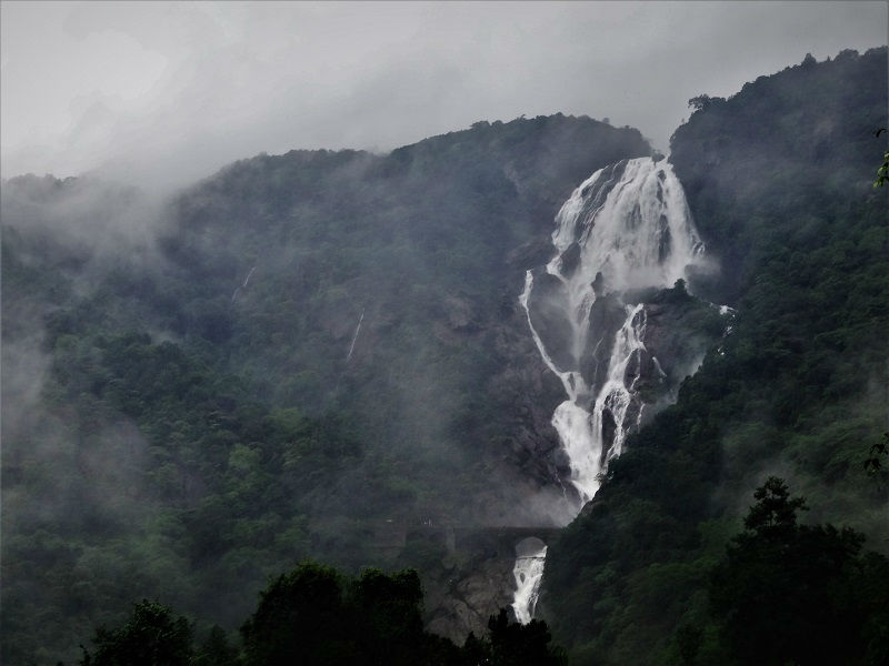 The Dudhsagar Waterfall Diary